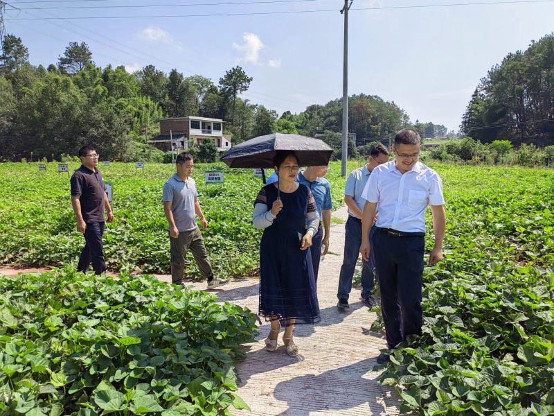 圖片3.jpg 圖片3.jpg