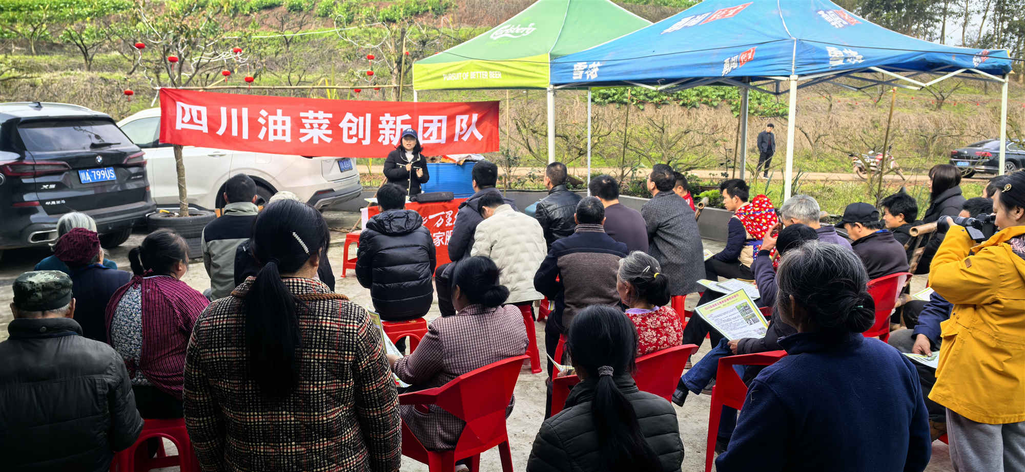 2月28日，科技賦能一促四防 推動油菜單產(chǎn)提升1.jpg