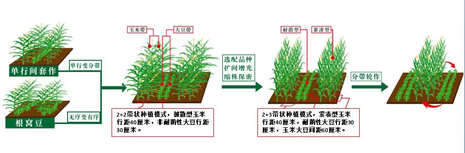圖片1.jpg